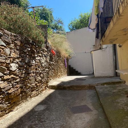 Bel Appartement A 3 Minutes De La Plage Bastia  Kültér fotó